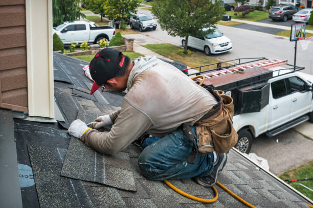 Professional Storm Damage Roof Repair technician working in Poplar Grove, IL